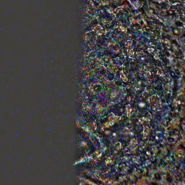 JNCE_2018144_13C00074_V01-raw.bmp_pol3_30px_30.460920s_cx807.0_000000_Hipass02w360.png