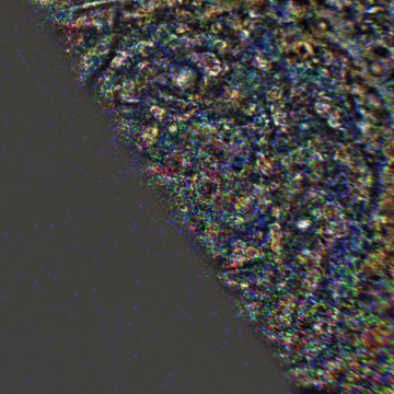 JNCE_2018144_13C00082_V01-raw.bmp_pol3_30px_30.460920s_cx807.0_000000_Hipass02w360.png