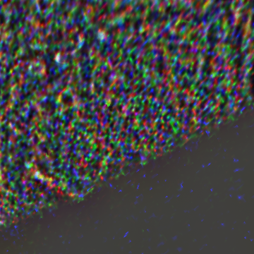 JNCE_2018144_13C00100_V01-raw.bmp_pol2_60px_30.460920s_cx803.0_000000_Hipass02w360.png