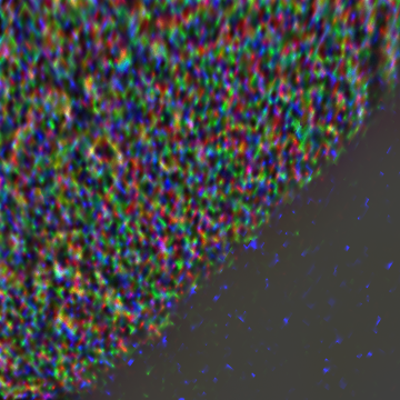 JNCE_2018144_13C00104_V01-raw.bmp_pol2_60px_30.460920s_cx803.0_000000_Hipass02w360.png