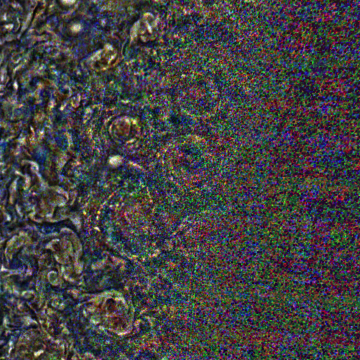 JNCE_2019202_21C00048_V01-raw.bmp_pol2_60px_30.095500s_cx808.0_000000_Hipass02w360.png