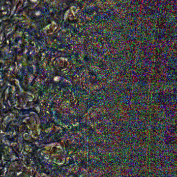 JNCE_2019202_21C00049_V01-raw.bmp_pol2_60px_30.095500s_cx808.0_000000_Hipass02w360.png