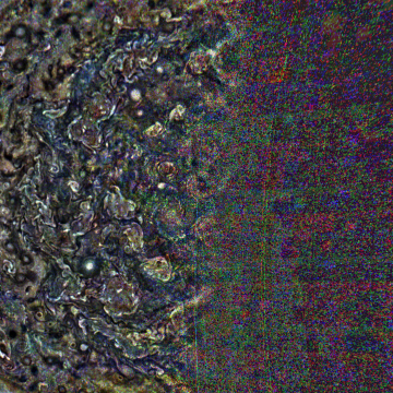 JNCE_2019202_21C00049_V01-raw.bmp_pol3_30px_30.095500s_cx808.0_000000_Hipass02w360.png