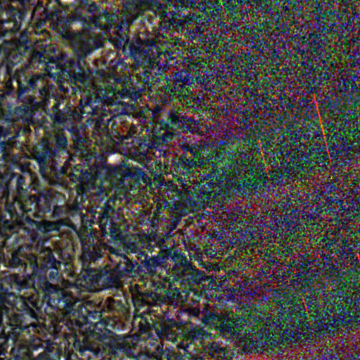 JNCE_2019202_21C00055_V01-raw.bmp_pol2_60px_30.095500s_cx809.0_000000_Hipass02w360.png