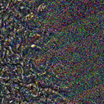 JNCE_2019202_21C00056_V01-raw.bmp_pol2_60px_30.095500s_cx809.0_000000_Hipass02w360.png