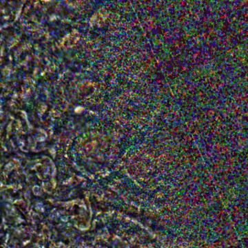 JNCE_2019202_21C00057_V01-raw.bmp_pol2_60px_30.095500s_cx809.0_000000_Hipass02w360.png