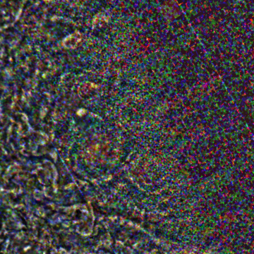 JNCE_2019202_21C00058_V01-raw.bmp_pol2_60px_30.095500s_cx809.0_000000_Hipass02w360.png