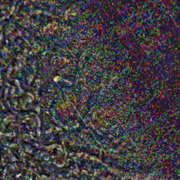 JNCE_2019202_21C00059_V01-raw.bmp_pol2_60px_30.095500s_cx809.0_000000_Hipass02w360.png