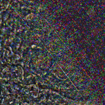 JNCE_2019202_21C00060_V01-raw.bmp_pol2_60px_30.095500s_cx809.0_000000_Hipass02w360.png
