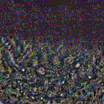JNCE_2019202_21C00067_V01-raw.bmp_pol3_30px_30.095500s_cx809.0_000000_Hipass02w360.png