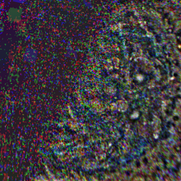 JNCE_2019202_21C00075_V01-raw.bmp_pol3_30px_30.095500s_cx807.0_000000_Hipass02w360.png