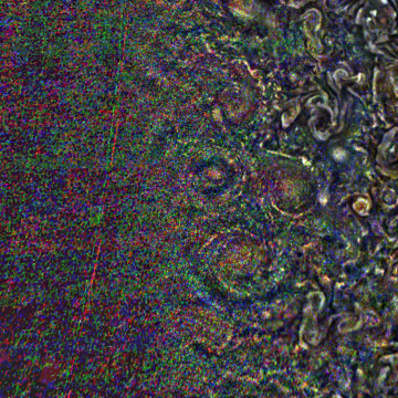 JNCE_2020048_25C00049_V01-raw.bmp_pol2_60px_30.096000s_cx810.0_000000_Hipass02w360.png