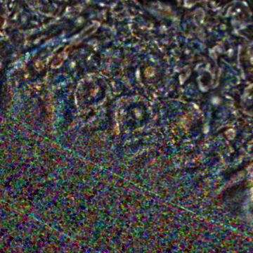JNCE_2020048_25C00069_V01-raw.bmp_pol2_60px_30.096000s_cx808.0_000000_Hipass02w360.png