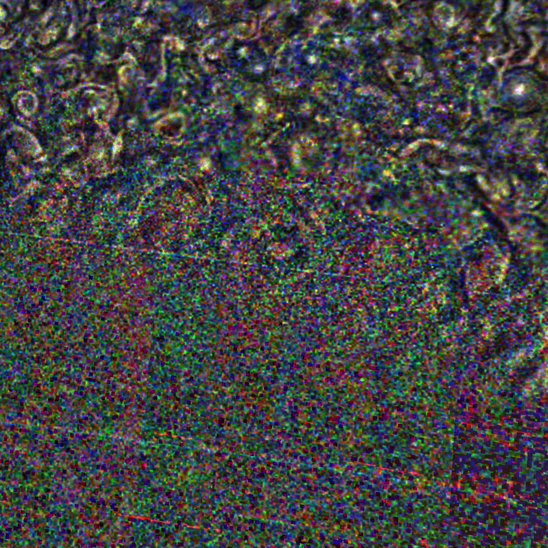 JNCE_2020313_30C00055_V01-raw.bmp_pol2_60px_30.065400s_cx808.0_000000_Hipass02.bmp.png