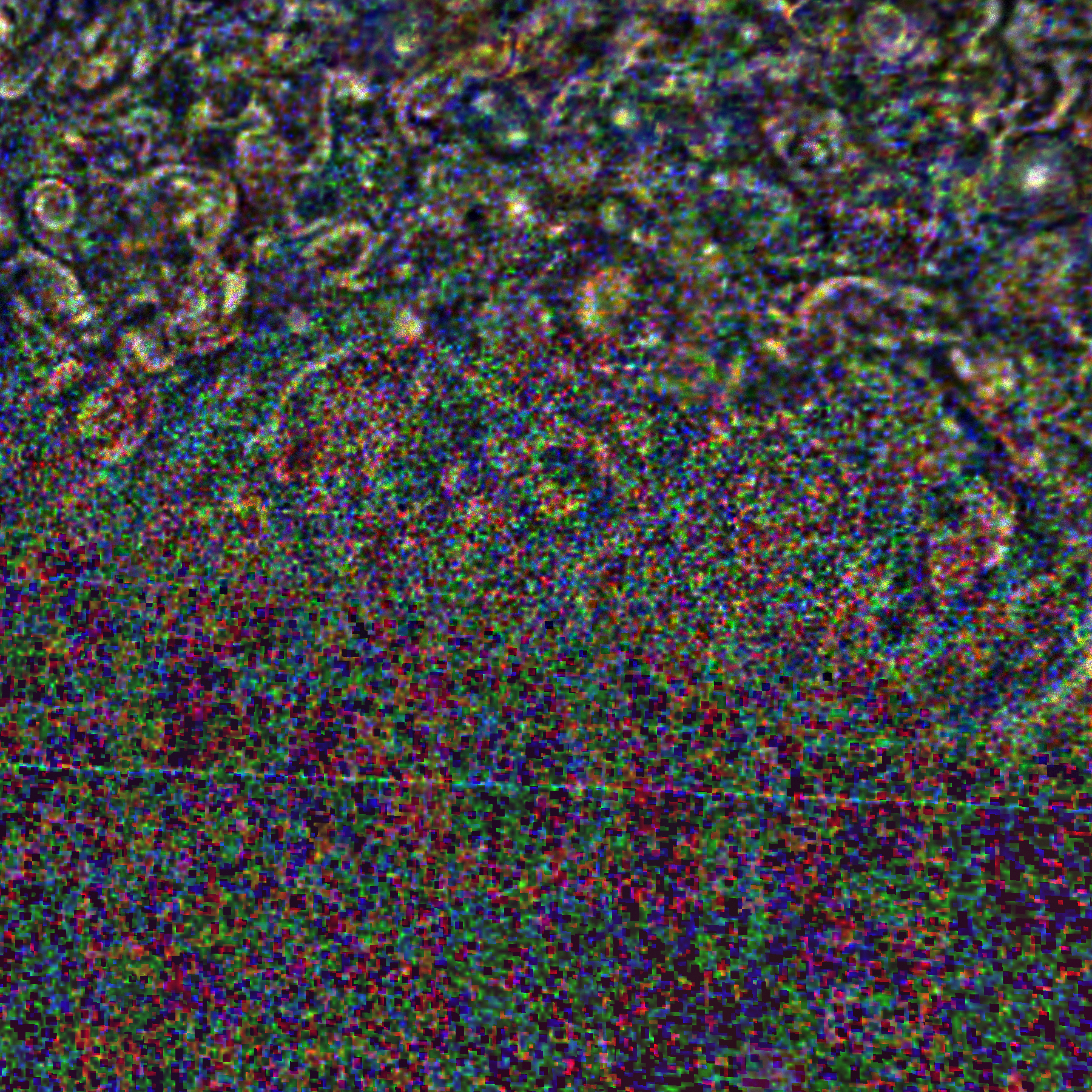 JNCE_2020313_30C00057_V01-raw.bmp_pol2_60px_30.065400s_cx808.0_000000_Hipass02.bmp.png