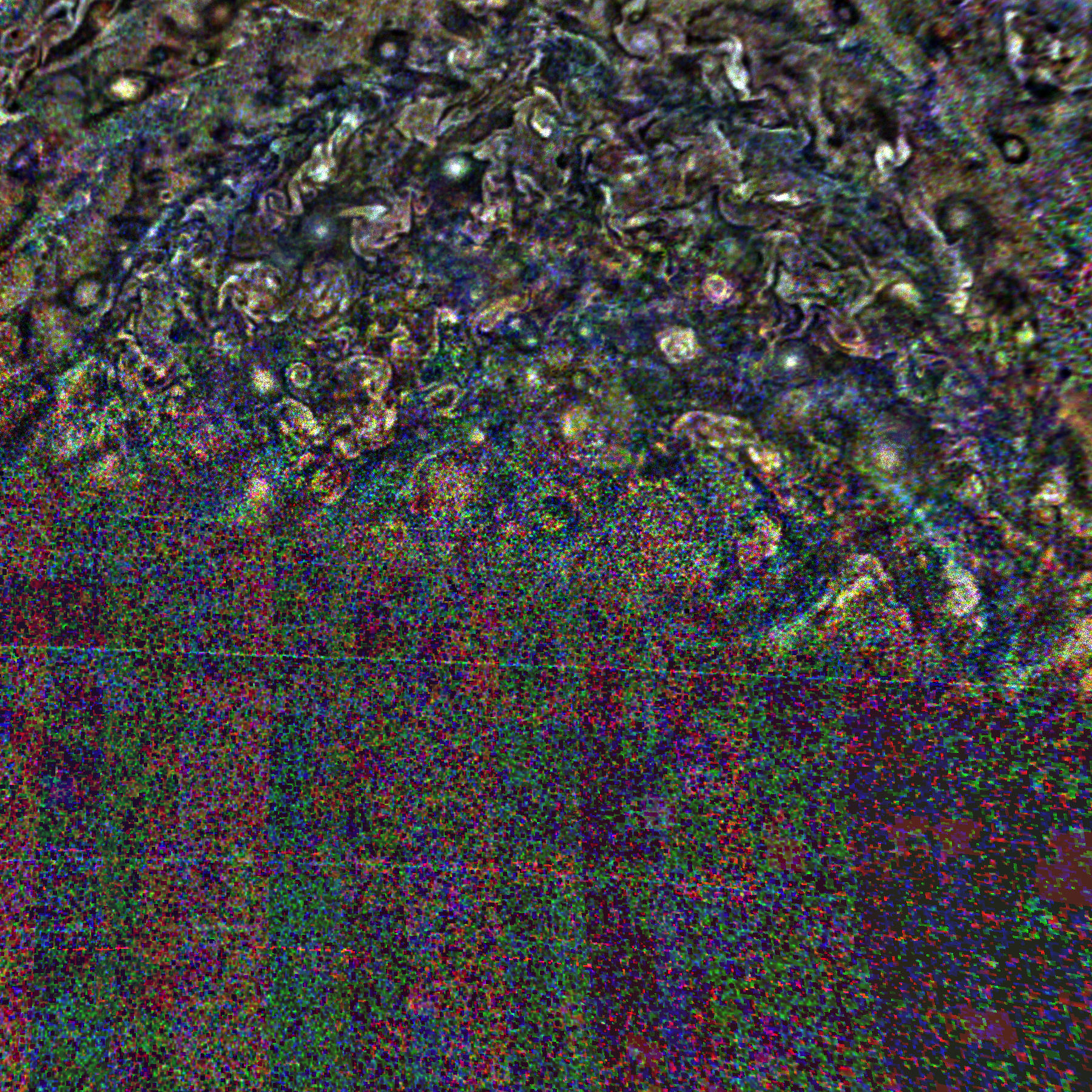 JNCE_2020313_30C00057_V01-raw.bmp_pol3_30px_30.065400s_cx808.0_000000_Hipass02.bmp.png